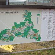 素晴らしい施設が並ぶ九州大学のキャンパスです。