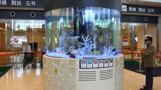 南国的な開放感ある空港です　～　新石垣空港・南ぬ島石垣空港