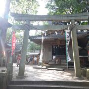 境内神社の中ではもっとも大きな社殿でした