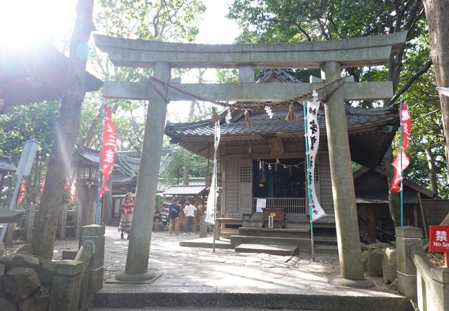 境内神社の中ではもっとも大きな社殿でした