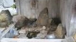 熱海七湯と呼ばれる古くからの源泉の一つ