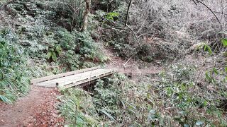 いろんなコースがあります