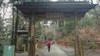 ここからが薬王院