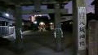 樹齢600年のクスノキ