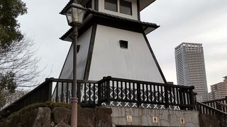 横方向から観るべき