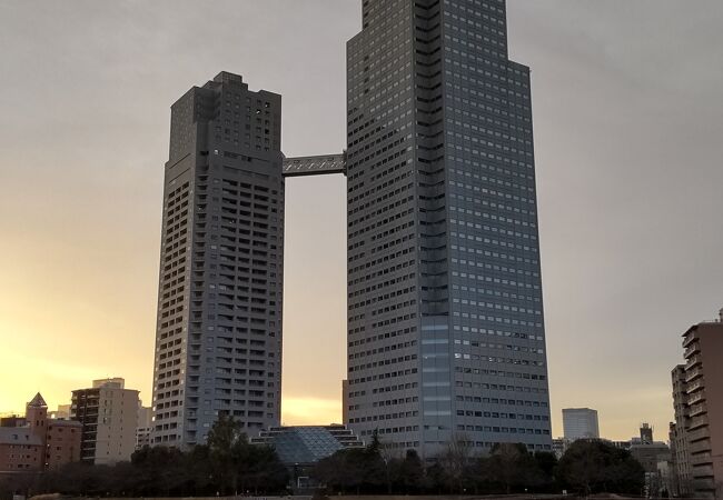 淳*次様 佃　月島　聖路加タワー周辺　都市模型　(透明ケース付) 淳*次様 佃 月島 聖路加タワー周辺 都市模型 (透明ケース付)