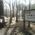 大和市泉の森ふれあいキャンプ場