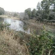 携帯を持たずに行きたい、とても広い自然公園