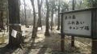 小さいながら心地の良いデイキャンプ場