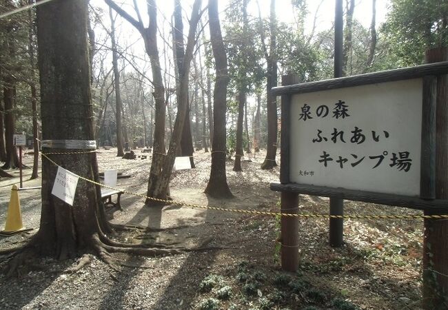 大和市泉の森ふれあいキャンプ場