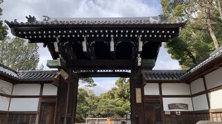 広い園内は美しい日本庭園と蘇鉄、楠木の大木で散策が楽しいです。旧ハッサム住宅や旧小寺家厩舎があります。