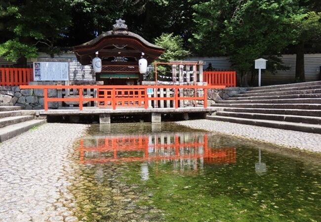 社前の御手洗池は禊の場所