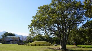 この一帯に伊都国があったという根拠のひとつ