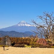 富士山がみごと！