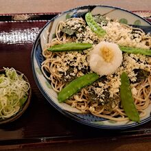 磯おろし 戸隠そば JR静岡駅店