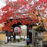 紅葉が本当に美しい