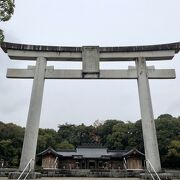 小雨降る朝詣り