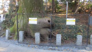 山頂までのルート脇にある