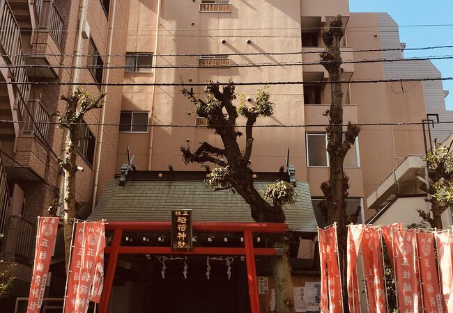 五柱稲荷神社 クチコミ・アクセス・営業時間｜両国【フォー
