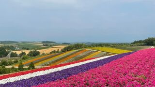 有名なパレットのお花畑