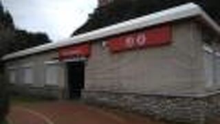 世界遺産の橋を見に