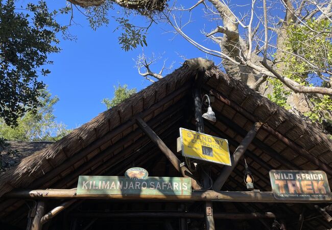 キリマンジャロ サファリ