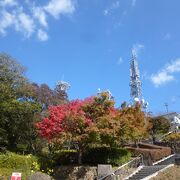 徳島市のシンボル