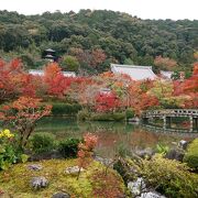 確実に紅葉を見るための永観堂