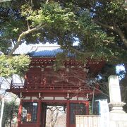 松戸散策(2)・城探訪(2)で本土寺に行きました