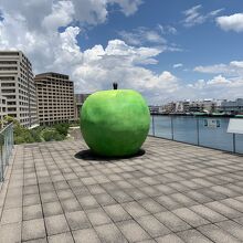 青りんご、空と海が気持ち良い場所