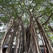 台中文学館