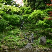 東京タワーのそばにある東京都心の滝