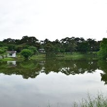 大宮公園の池