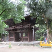 森に囲まれています