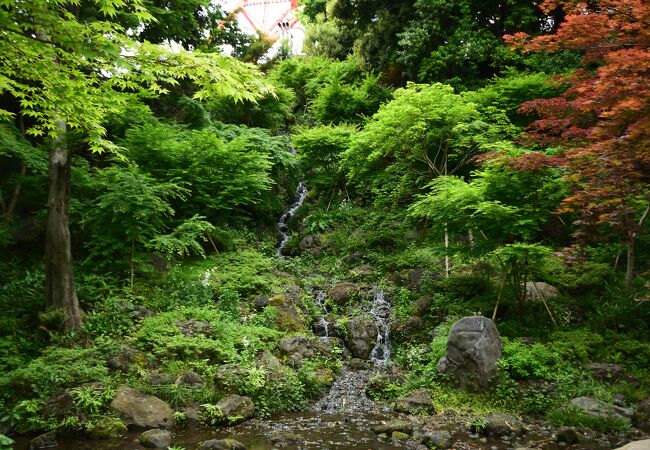 東京タワーのそばにある東京都心の滝