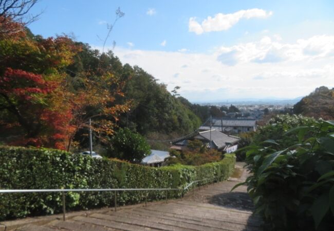 法蔵寺の近くです