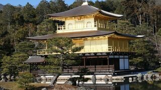 午後は西日が当たって輝きます♪