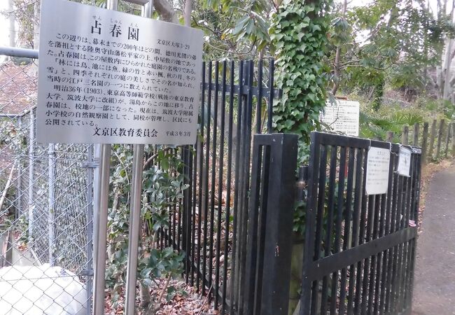 昔は名園だったことが伺えました