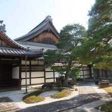 松が美しいお寺です