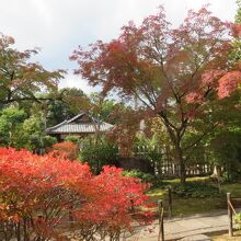 紅葉が美しい庭園です