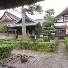 木々がよく手入れされた境内です