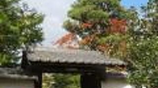 妙心寺の塔頭です