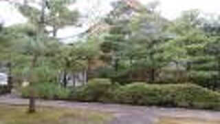 妙心寺の本堂の近くです