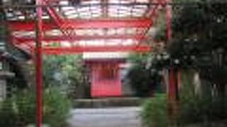 鮮やかな赤です