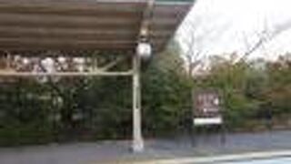 観光客で賑わっています