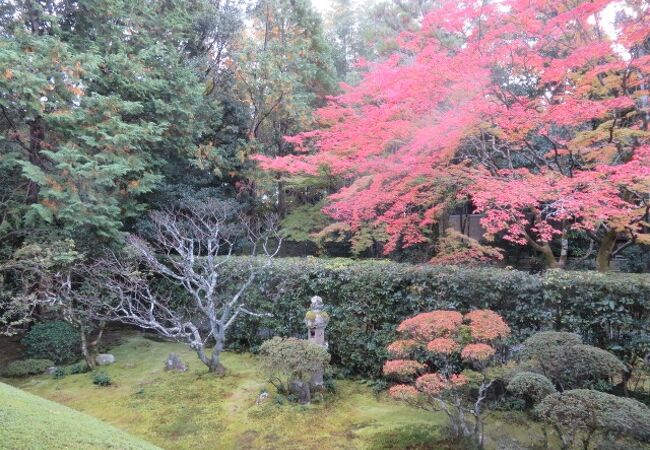 桂春院庭園