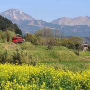 春の立野スイッチバック