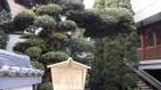 日本山岳協会の初代会長だった方のお墓もあります