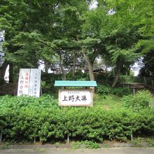 上野大仏の案内板