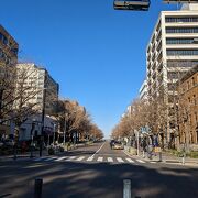 みなとみらい線の「日本大通り駅」ができて、東京からのアクセスもとても便利です。